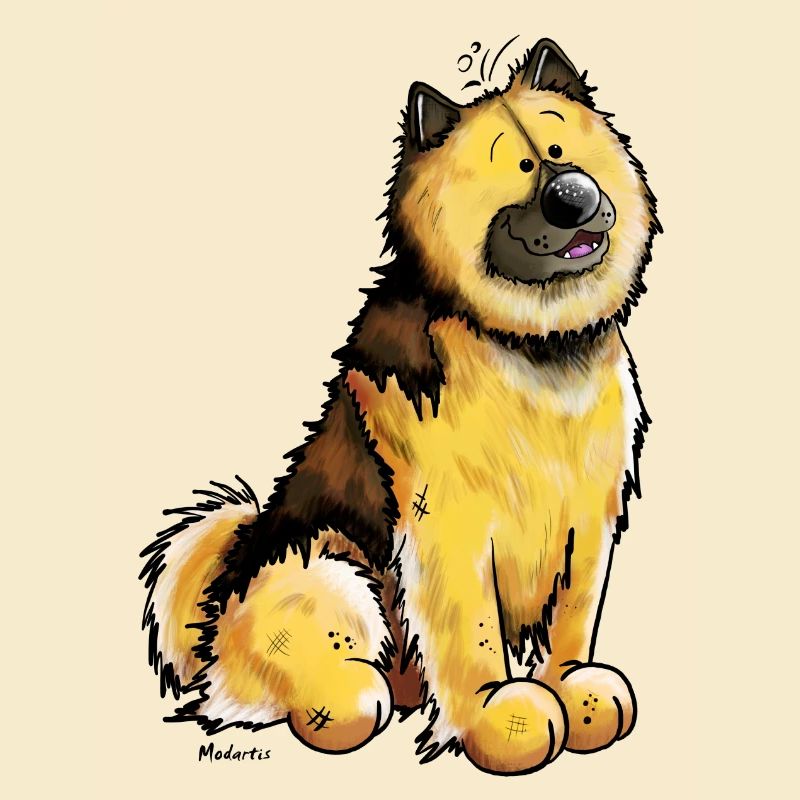 Stolzer Eurasier