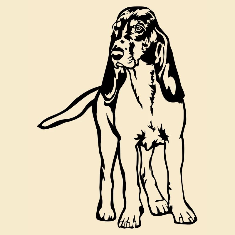 Berner Laufhund