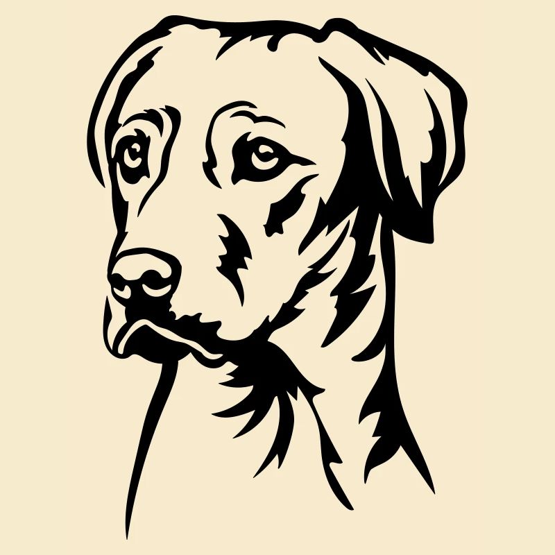 Rhodesian Ridgeback Kopf