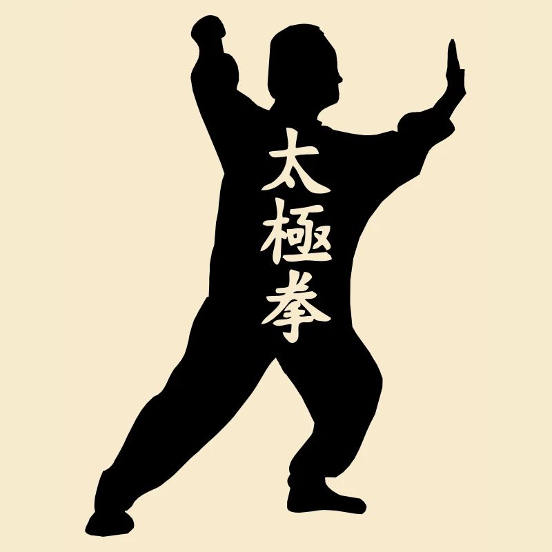 Shadow figure Taichi