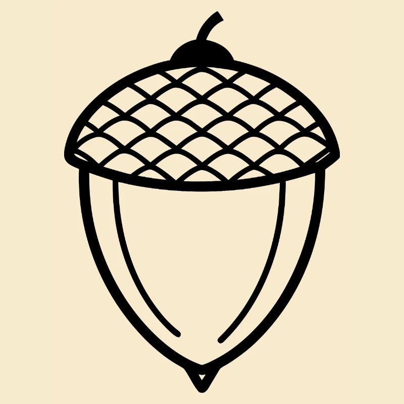 Acorn