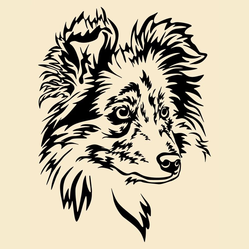 Sheltie Kopf