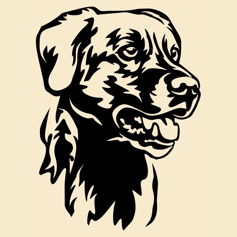 Labrador Kopf