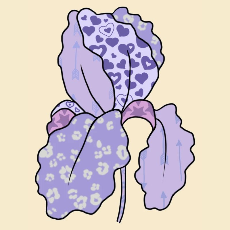 Bunte_Iris