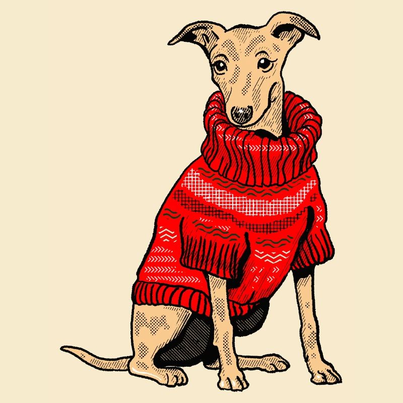 Chien en pull tricoté rouge