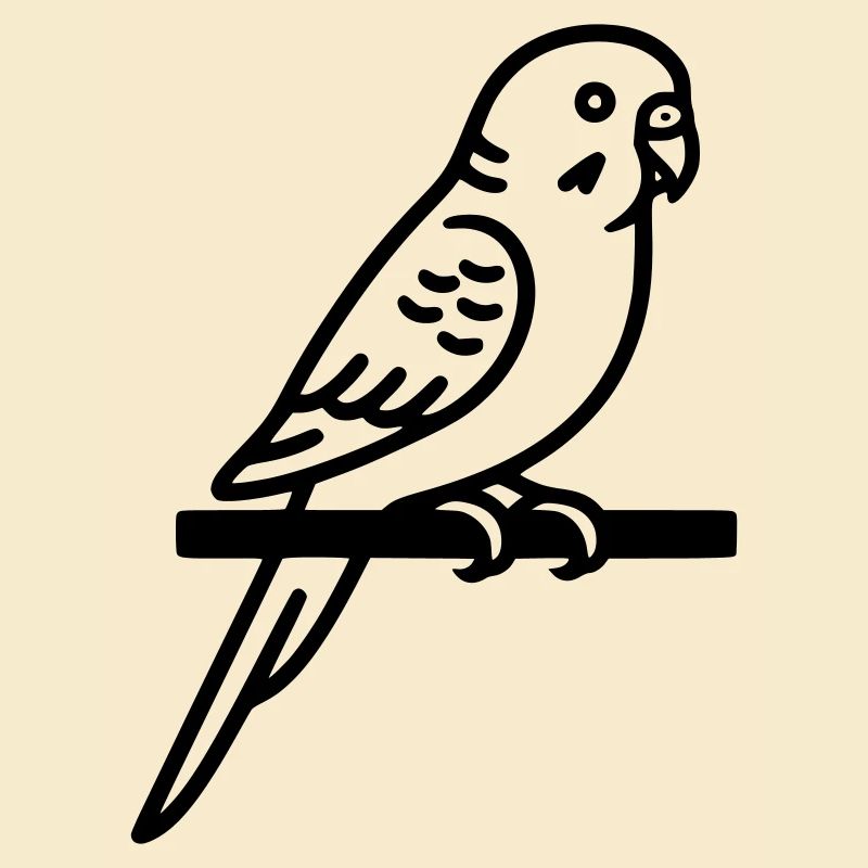 Perruche Animal de compagnie