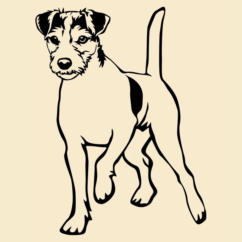 Parson Russell Terrier