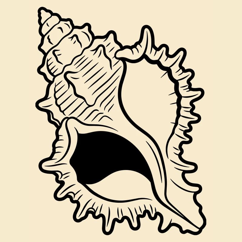 shell