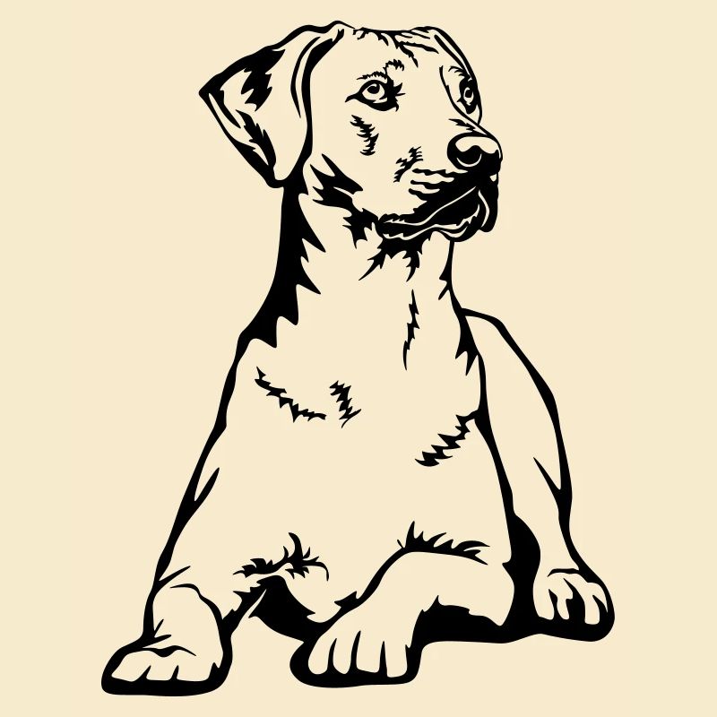 Rhodesian Ridgeback