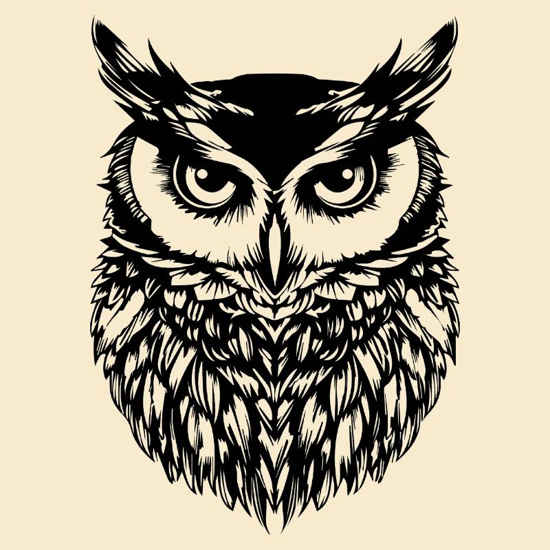 Eule Eulen Vogel Vögel