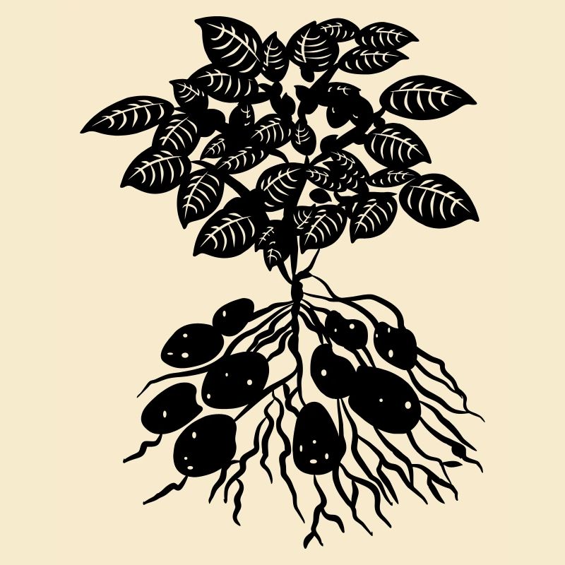 Logo de la plante de pomme de terre