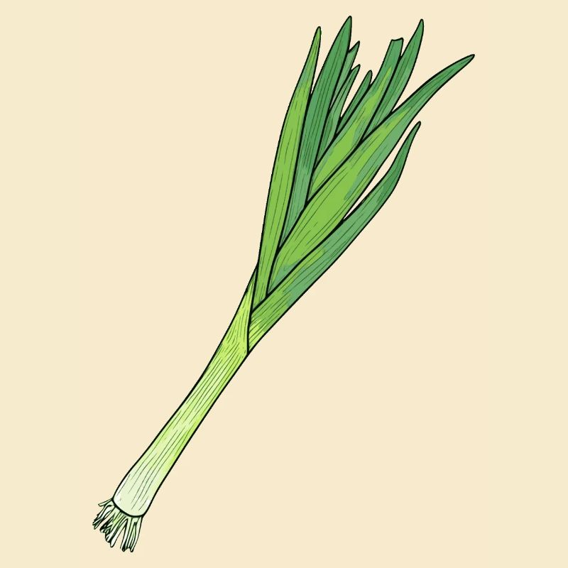 Leek