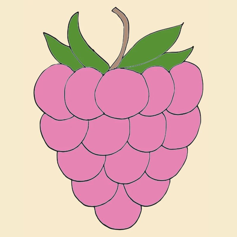 Pink Raspberry Illustration