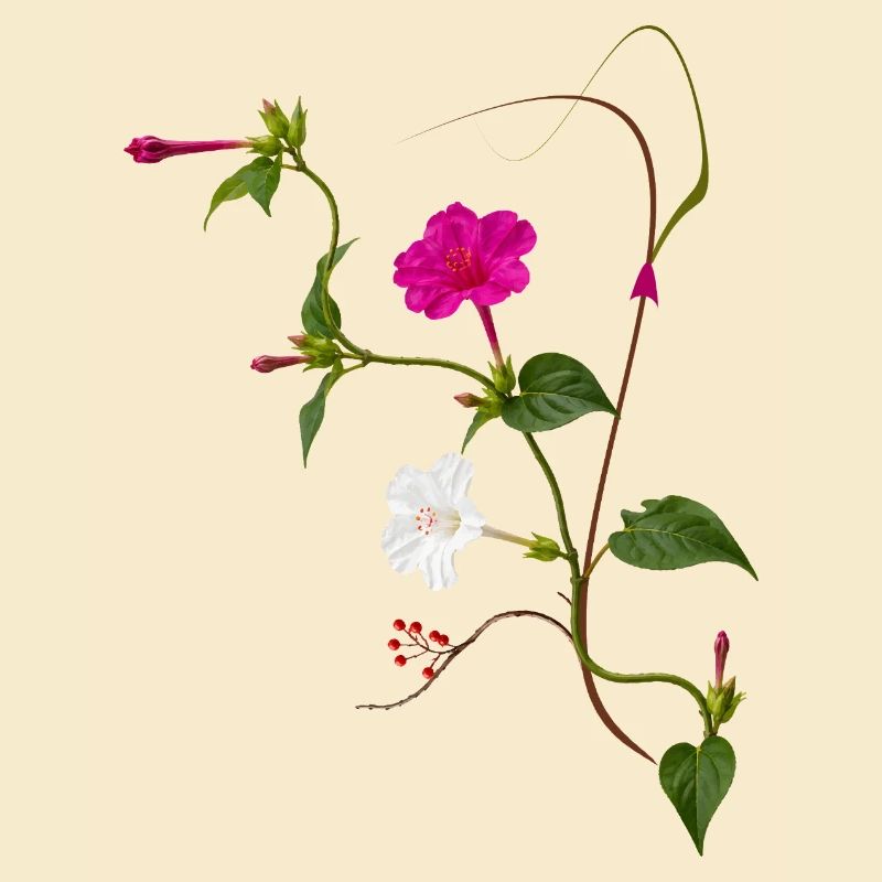 Fleur Miraculeuse Zen Blossoms Design