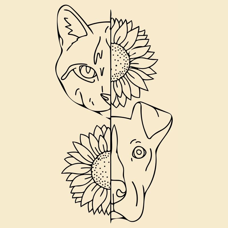 chat et chien