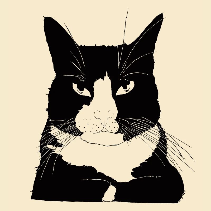 Katze bossy