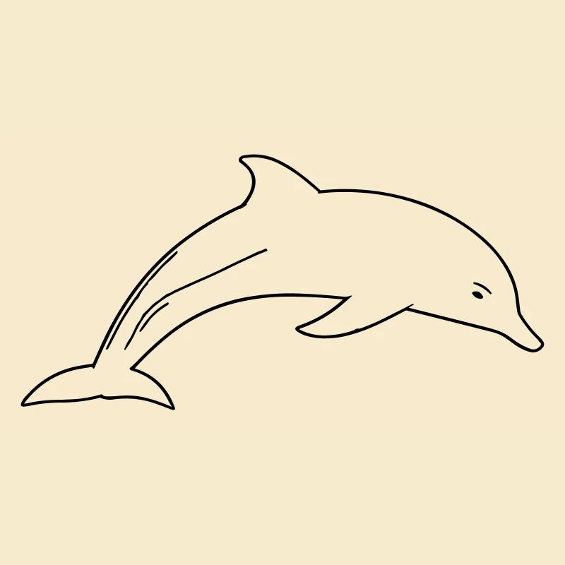 Dolphin