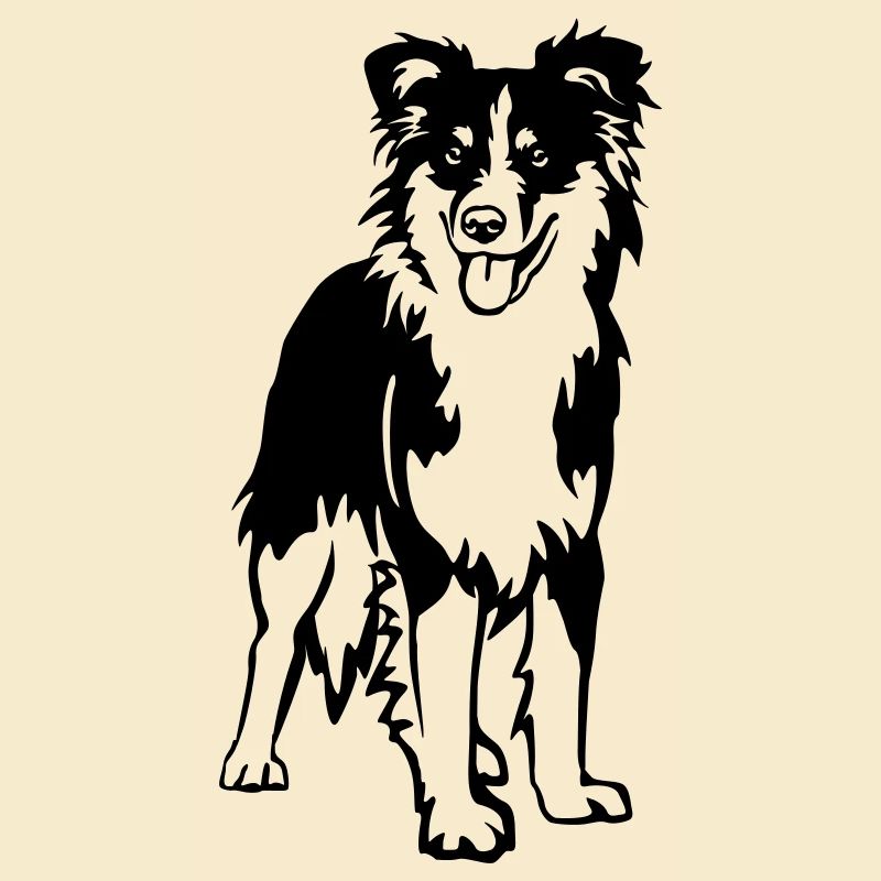 Australian Shepherd