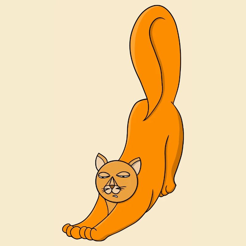 Chat Orange Étirant