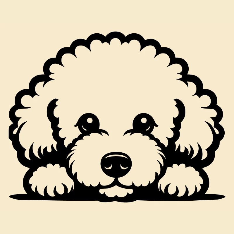 Reclining Bichon Frisé Vector Design