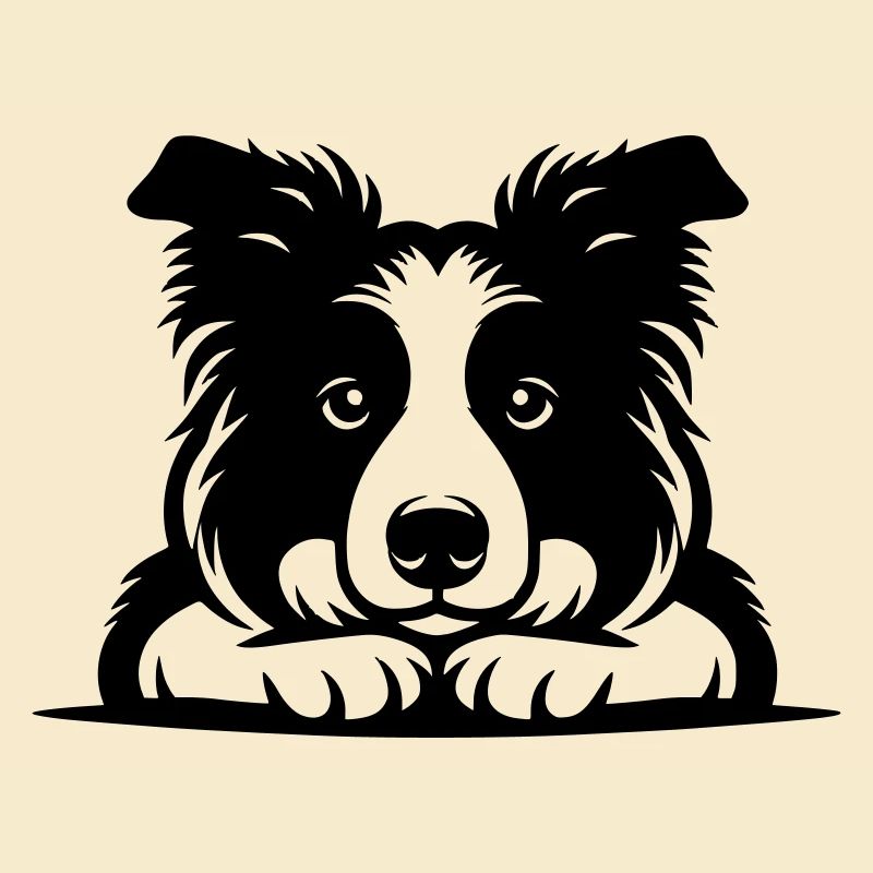 Lying Border Collie Vector Design