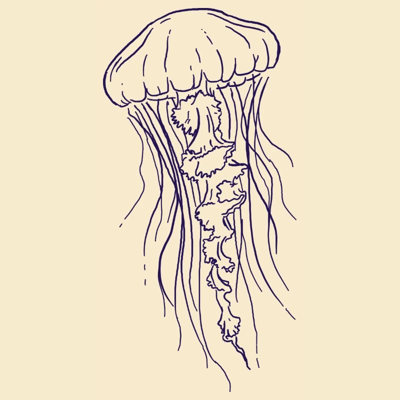 Illustration d’art au trait de méduse