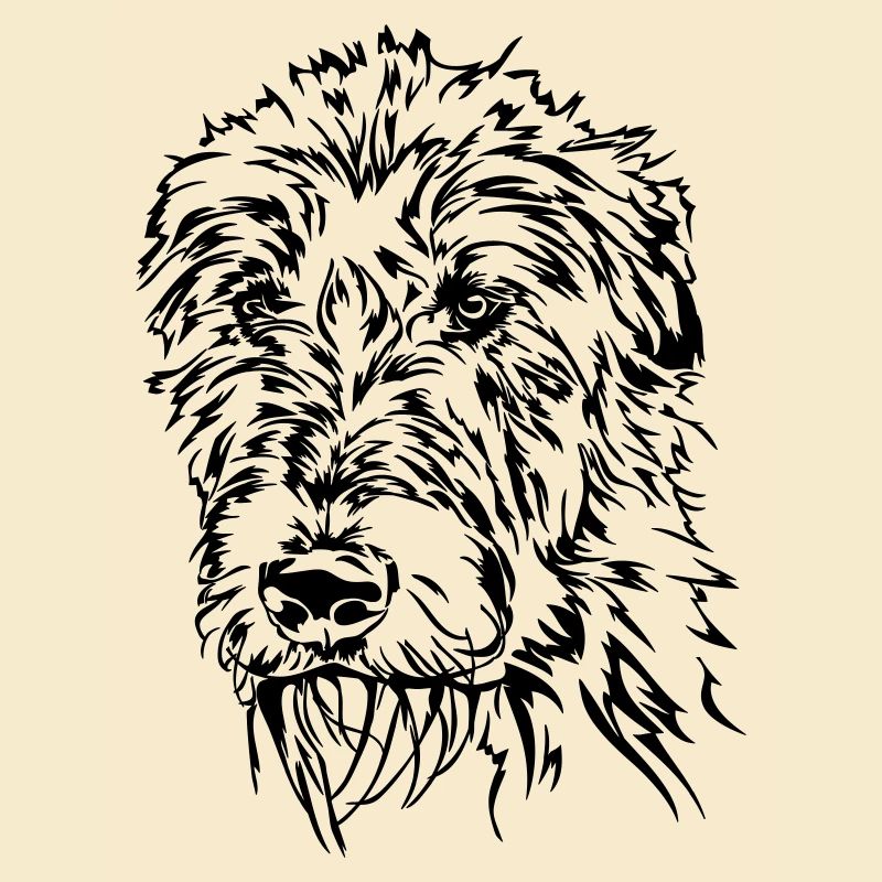 IRISH WOLFHOUND Irischer Wolfshund Wilsigns Hunde