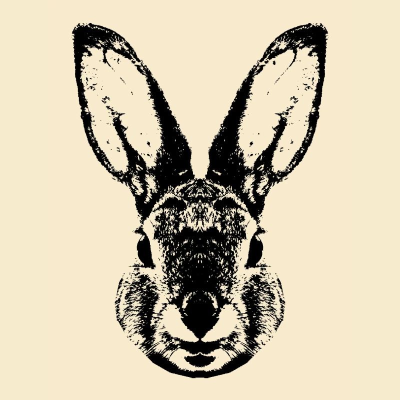 Hare / Rabbit / Rabbit / Bunnie