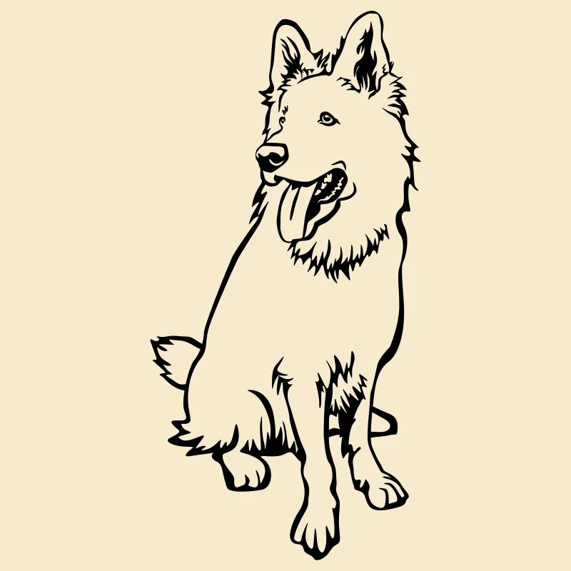 Schweizer Schäferhund