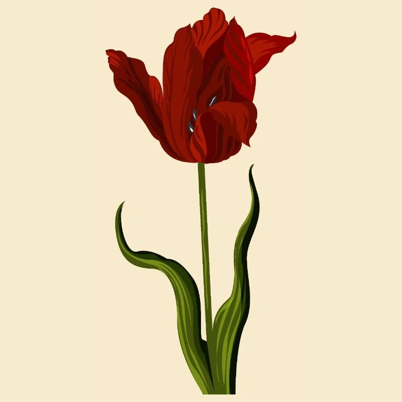 Red Tulip