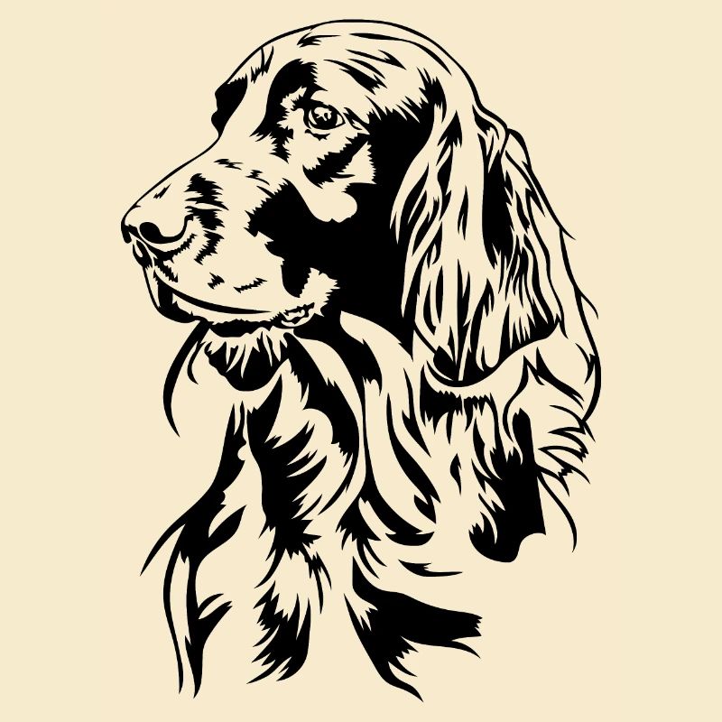 Irish Setter Jagdhund Jagdhunde Hunde Wilsigns