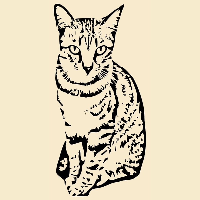 Chat Chaton Tigre Chat Chat Chat Cadeau