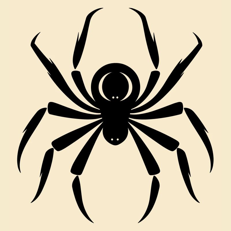 Spiders