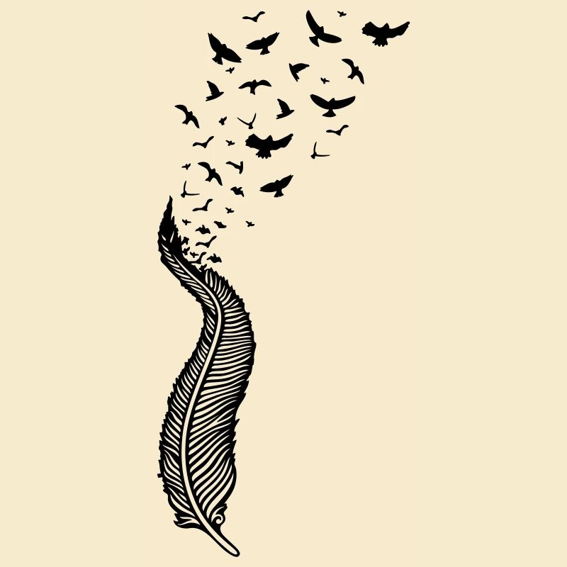 Plume et oiseaux
