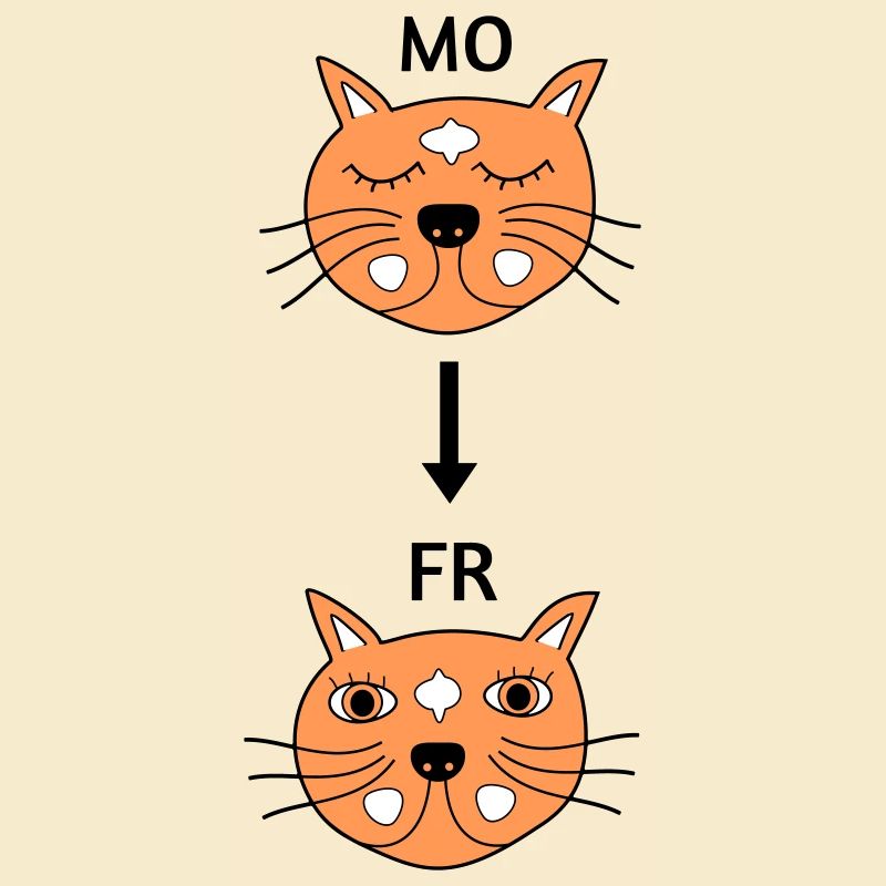 Montags bis Freitags