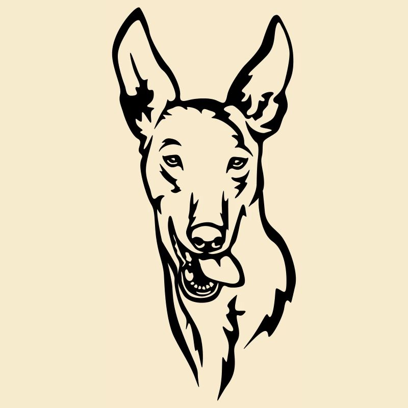 Tête Podenco