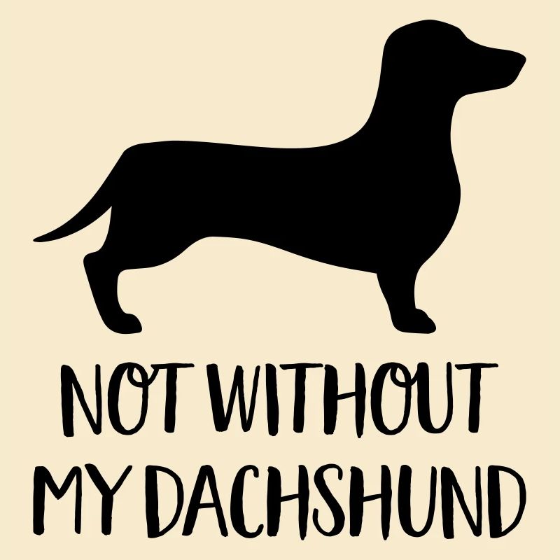 dachshund