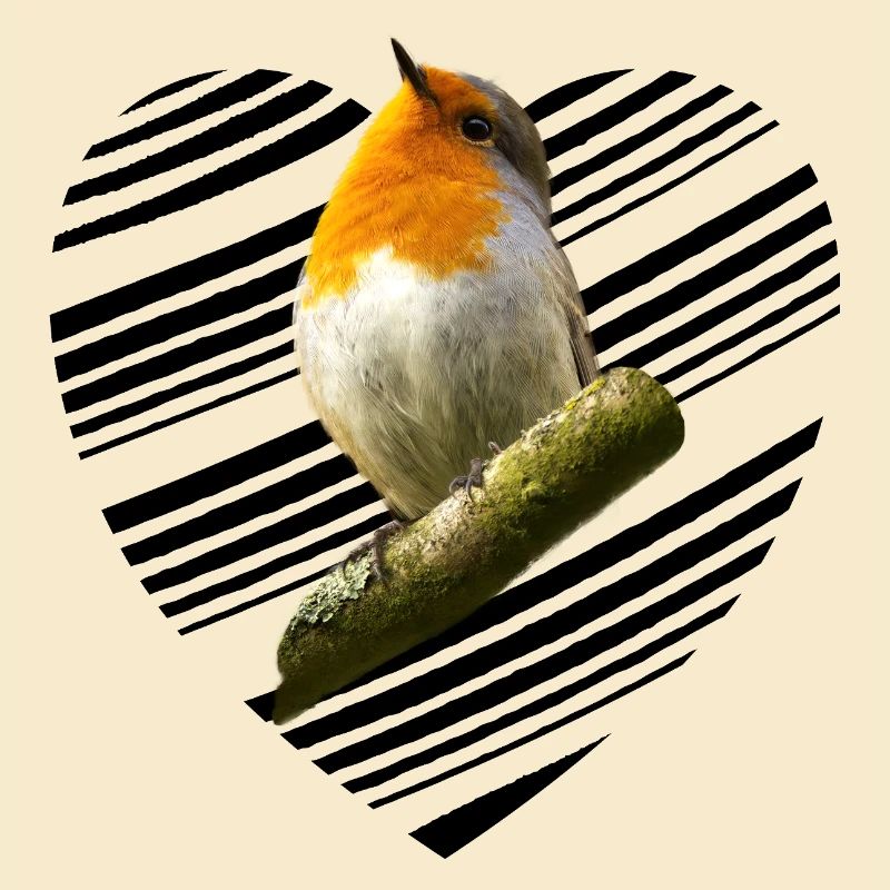 Rouge-gorge Erithacus rubecula