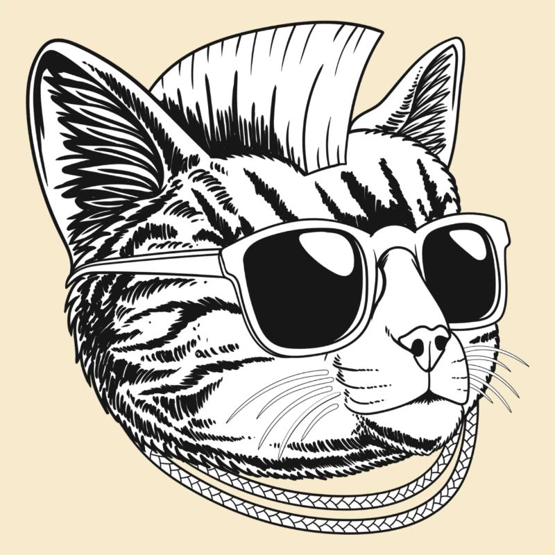 Chat punk