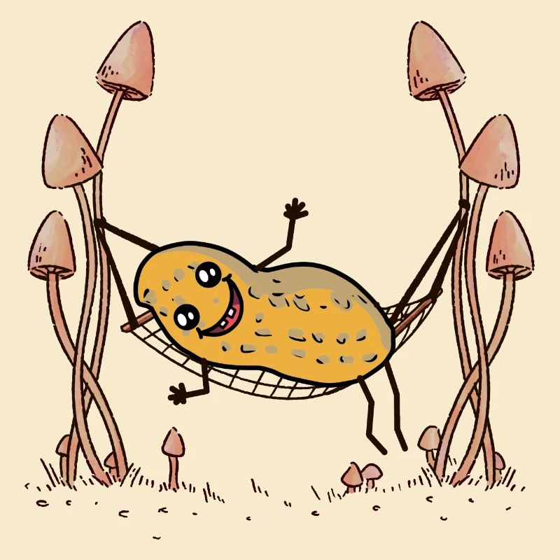 Peanut Peanuts Hammock Chill Hanging Nut