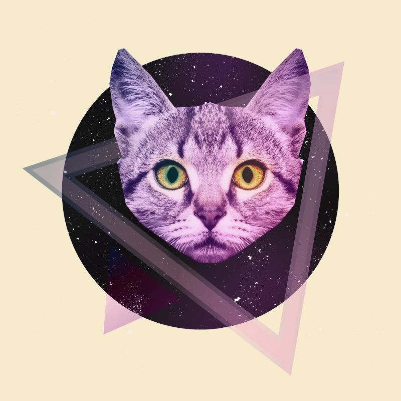 Space Katze