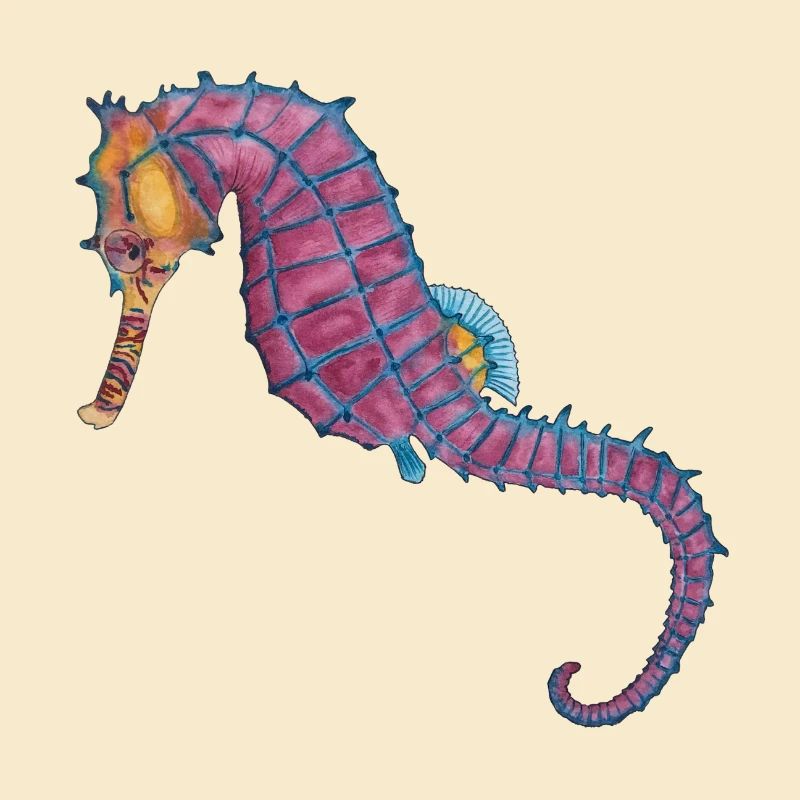 Seepferdchen Seepferd