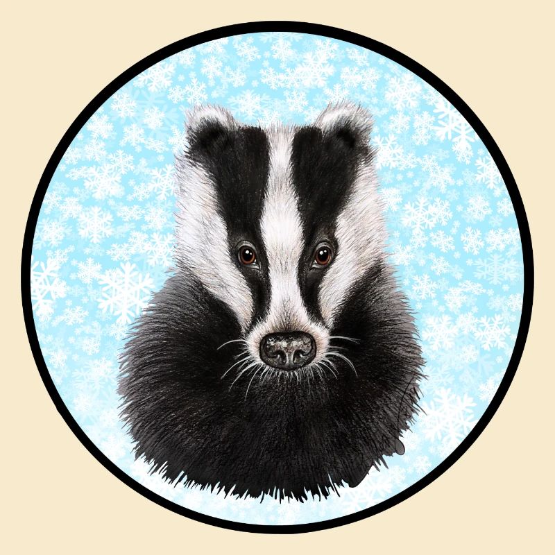 Badger/Dachs im Schnee