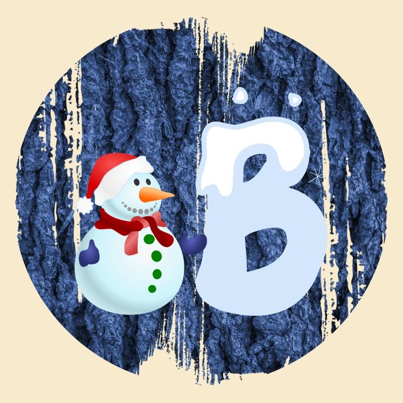 snowman b