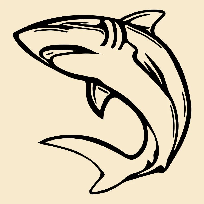 Elegant deep-sea shark