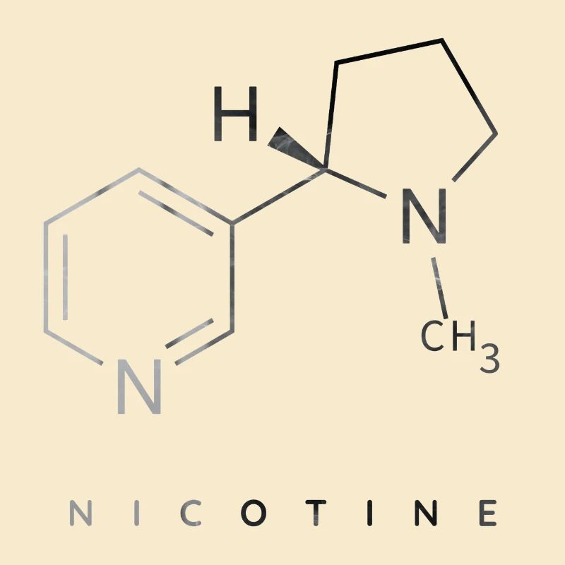 Nicotine molecule