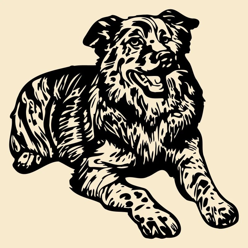 Australian Shepherd