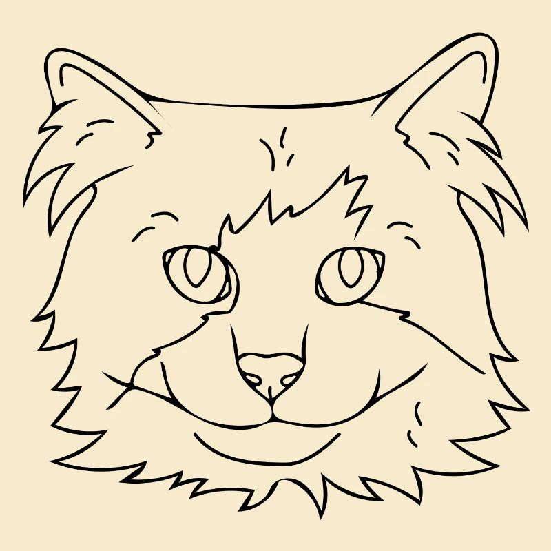 chat