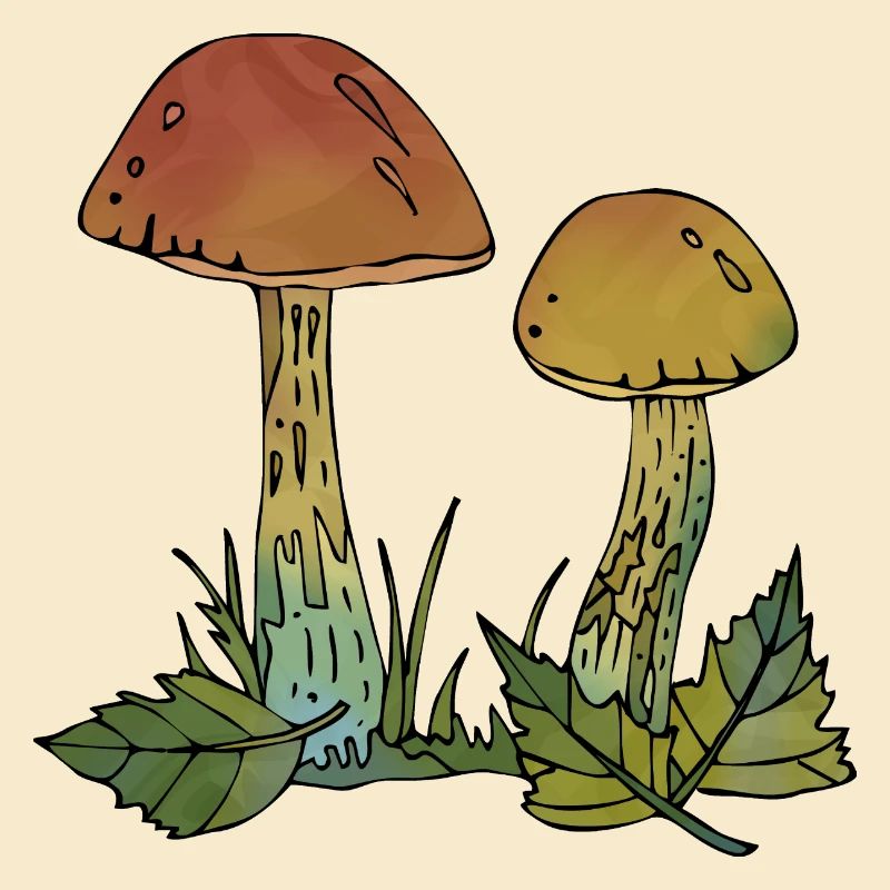 Mycètes