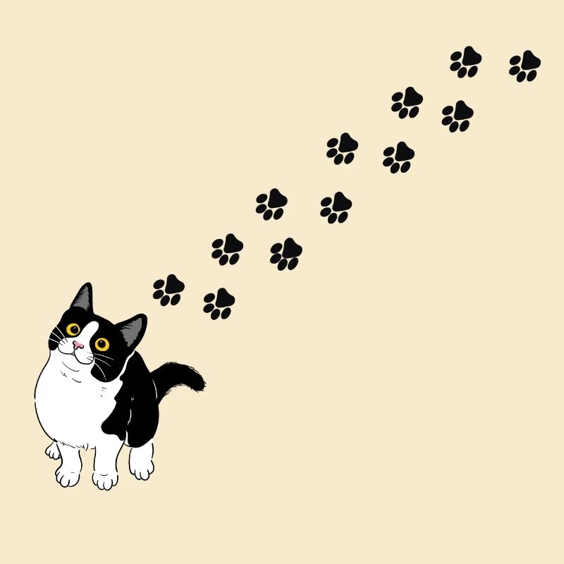 Cat paws